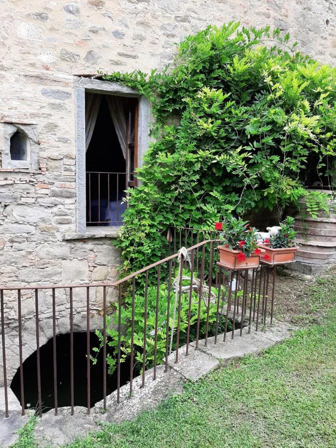 Agriturismo Frantoio Valiani Cortona Zewnętrze zdjęcie