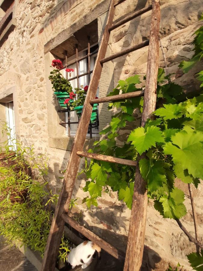 Agriturismo Frantoio Valiani Cortona Zewnętrze zdjęcie