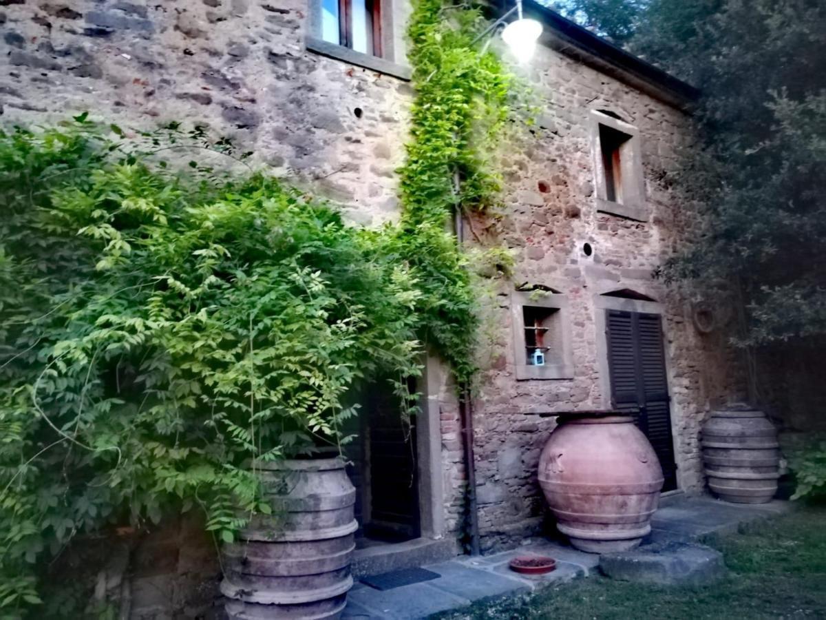 Agriturismo Frantoio Valiani Cortona Zewnętrze zdjęcie