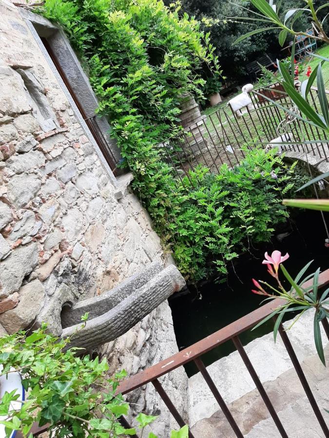 Agriturismo Frantoio Valiani Cortona Zewnętrze zdjęcie